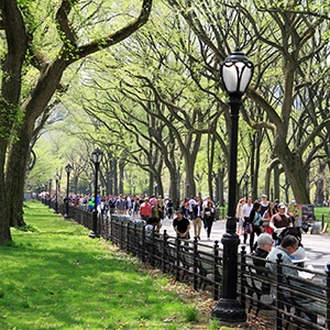 Family bike ride New York City