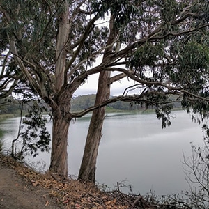 biking trails in San Francisco