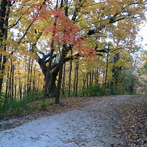 biking trails in Chicago