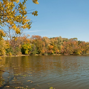 biking trails in Chicago