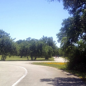 bike rides in Austin