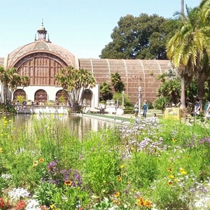 Balboa Park San Diego Biking Trails