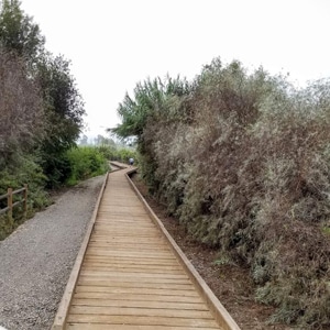 Tijuana River San Diego Biking Trails