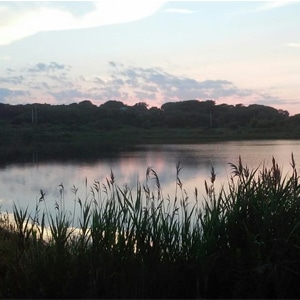 montauk point biking in the hamptons