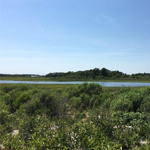 orient beach biking in the hamptons