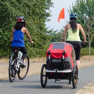 Bike Trailer Maintenance with Flag