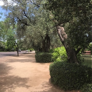 Phoenix Bike Trails - Murphy's Bridle Path