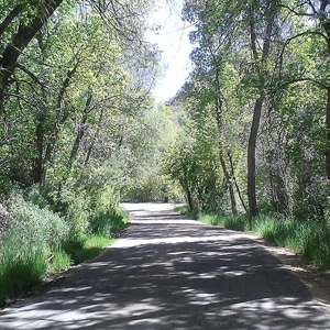 best bike trails in salt lake city canyon creek