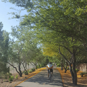 Las Vegas Bike Trails Union Pacific Railroad Trail