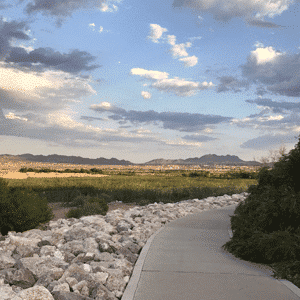 Las Vegas Bike Trails Wetlands Park