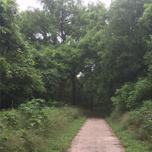 San Antonio Bike Trails Medina River Greenway
