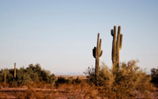 Scottsdale Bike Paths