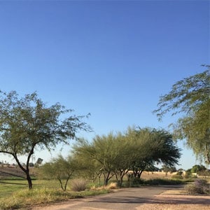 Scottsdale Bike Paths Thunderbird Paseo Park