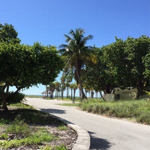 Bike Trails Near Miami Crandon Park