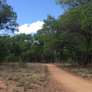 Albuquerque Bike Trails Paseo del Bosque Trail