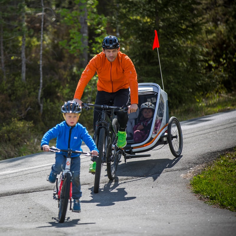 Hamax Outback Child Bike Trailer – Stoller – Jogger