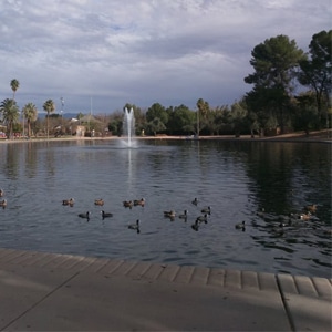 Tucson Bike Trails Reid Park