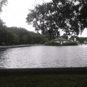 Bike Trails in Savannah Daffin Park